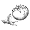 SALÇA