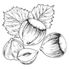 KURUYEMİŞ